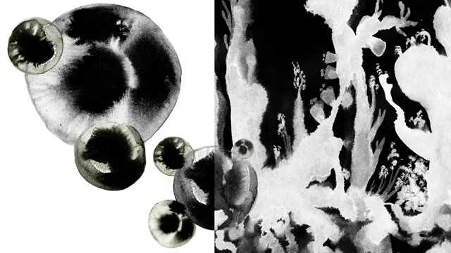 «Куда движется материализм?» Катрин Малабу о социальном отборе, неизвестной материалистической традиции и критике капитализма