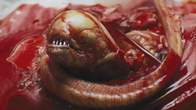 Миссия «Nostromo»: пересматривая Ридли Скотта