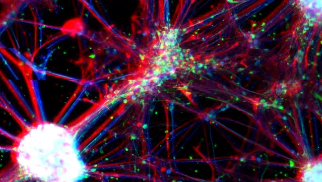 О чем говорит коварная статистика