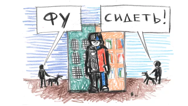 Как и за что судят и сидят в России: анализ уголовных приговоров за 10 лет