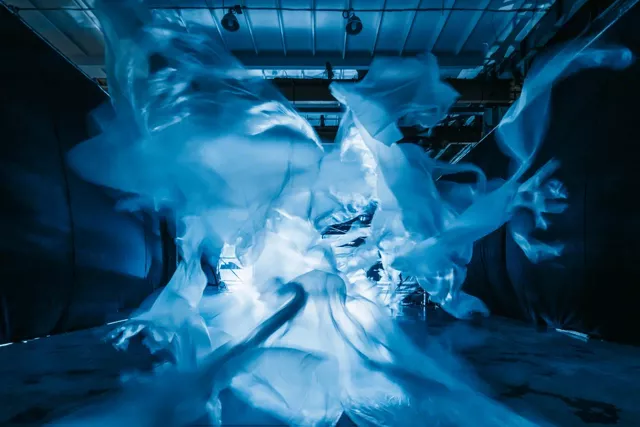 Возможно ли этичное выживание? Координатор нашумевшей выставки HYDRA об экотревожности и сценариях вымирания людей