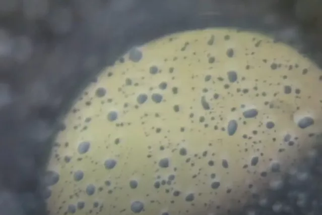 magnifying glass plus rain