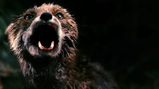 «Антихрист» Ларса фон Триера: как один из самых жутких хорроров стал безжалостным разоблачением человека